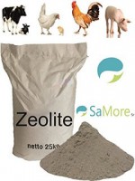 /album/galleria-foto-cani-e-gatti/a41gyhxw5m4l-ac-ul320-sr240-320-jpg/